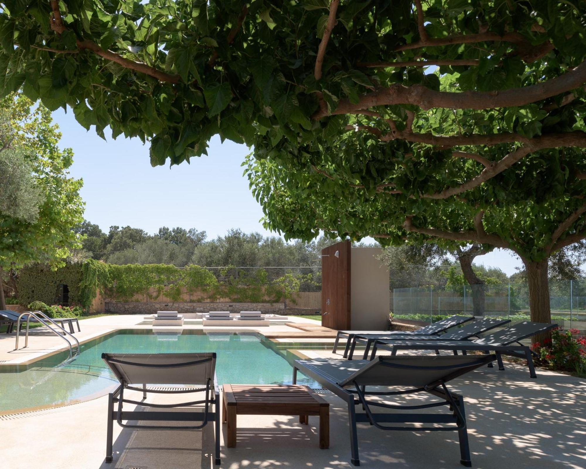 Thetree Villa, With Heated Pool & Spa Whirlpool Gállos Zewnętrze zdjęcie